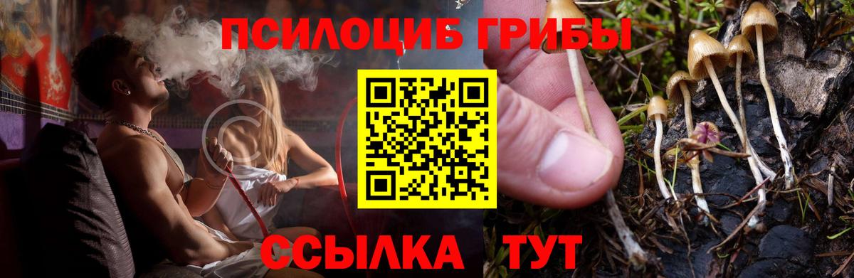 Псилоцибиновые грибы MAGIC MUSHROOMS Самара